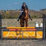 DSC 3681-Edit