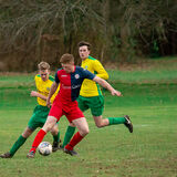 DSC 8091-Edit