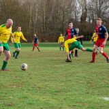 DSC 8305-Edit