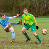 DSC 9101-Edit