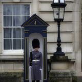 The Palace