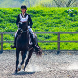 dressage (2)