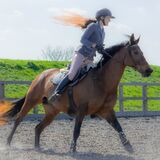 fire horse