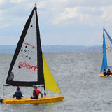 sailboats