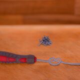 social media profile pics