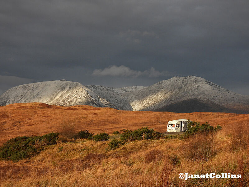 1st prints Highland Beauty .... Spoilt by Man