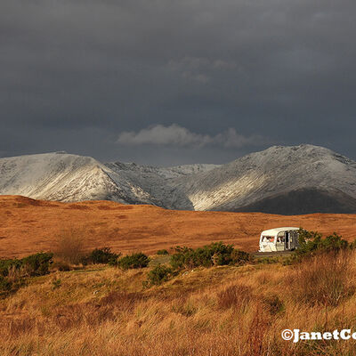1st prints Highland Beauty .... Spoilt by Man