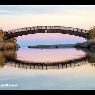 2nd Prints BELCARE NATURE RESERVE SPAIN