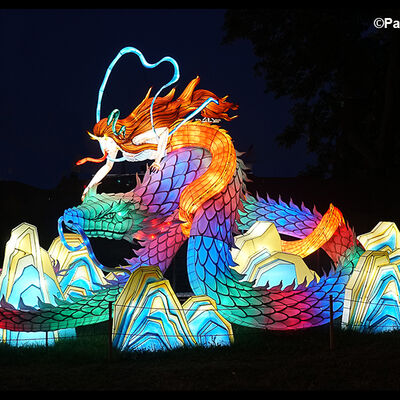 Digital 2nd Chinese Dragon Lantern