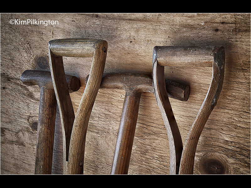 Fork Handles 3rd Wood prints