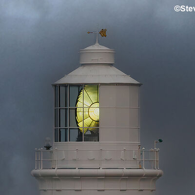 Print 2nd Stormy Trevose
