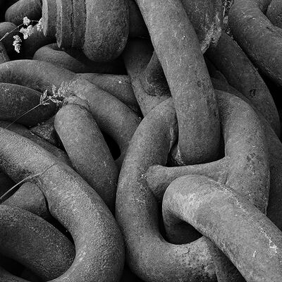 The Old Anchor Chain Janet Collins 1st Digital