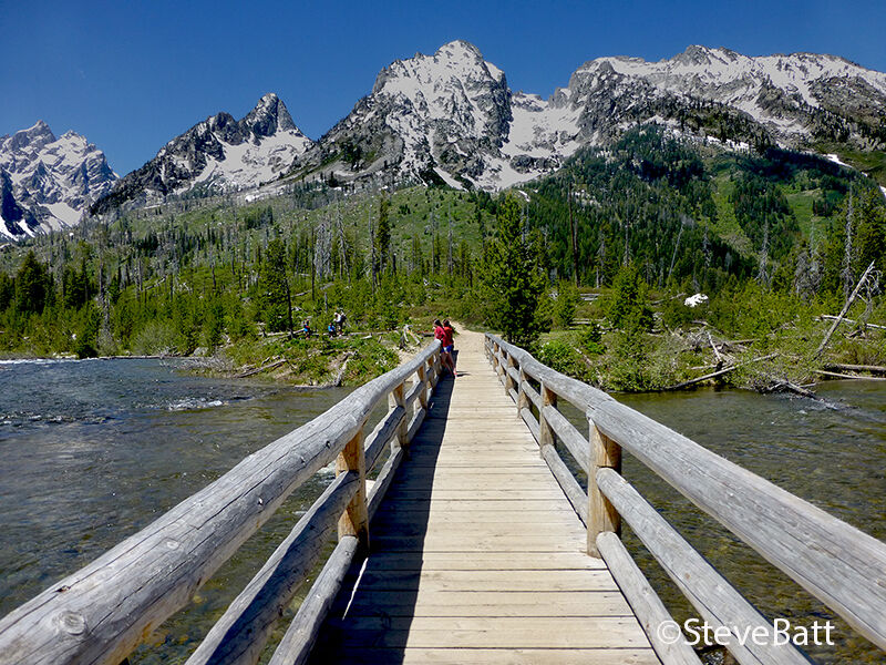 Wooden Bridge to the Woods 3rd Wood images