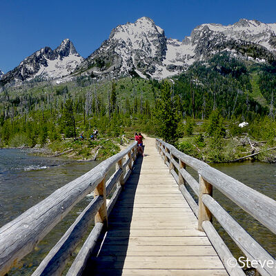Wooden Bridge to the Woods 3rd Wood images