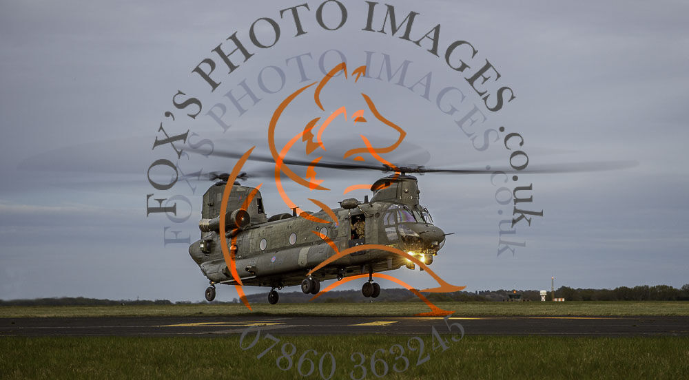 Chinook-