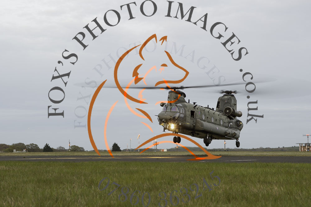 Chinook-46350