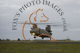 Chinook-46351