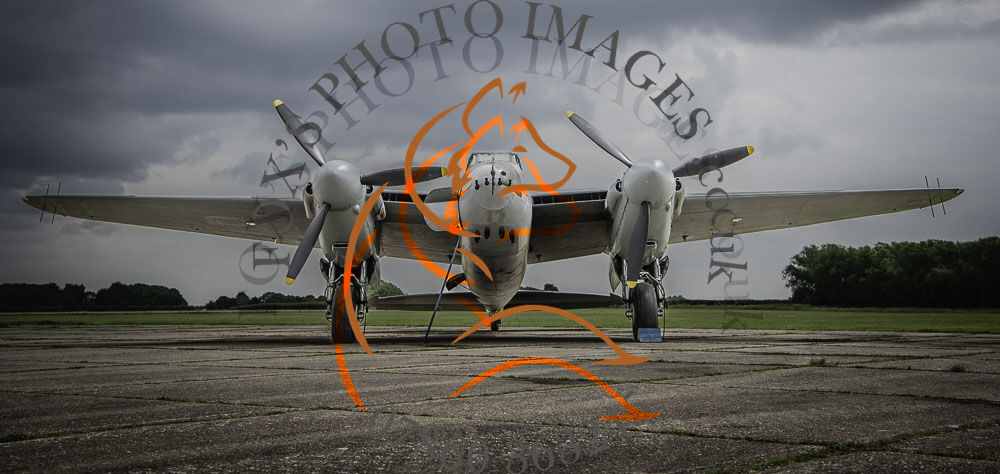 Mosquito-2