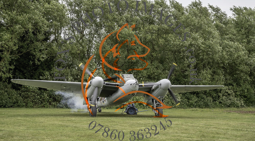 Mosquito-46980