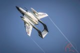 Sea Vixen-DSC5879