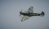 Seafire -DSC6102