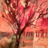 Autumn Acer