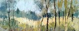 Young Birches
