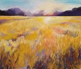 Gold sunset, york open studios Grapevine Project
