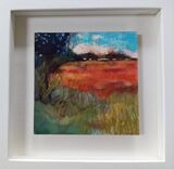 Poppy field