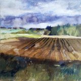 Ploughed