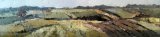 Howardian Fields