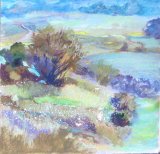 Umbells, Oxenber