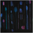 Night Visitors, 2012