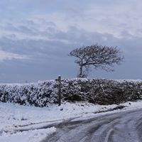 Snow on the way to the shop