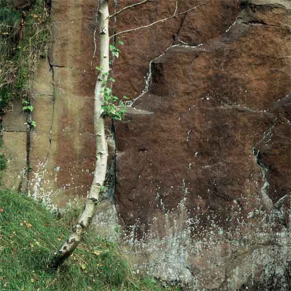 Red Rock and Birch, Yarncliffe Quarry