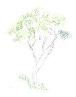 Landscape – Marker Pen