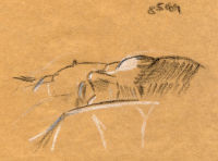 Life study - Juliet - charcoal and chalk