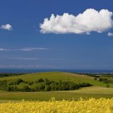 Towards the sea from Kithurst Hill, West Sussex 3