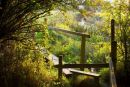Late Summer light on the Brooks, Upper Beeding, West Sussex
