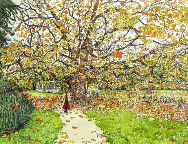 Autumn leaves, Audley End