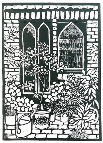 Plants by the windows