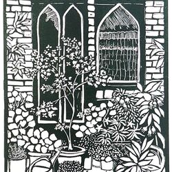 Plants by the windows