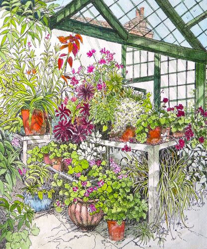 The glasshouse , Wimpole Hall