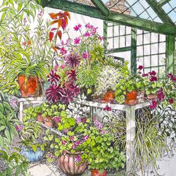 The glasshouse , Wimpole Hall