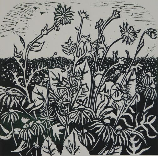 Wild flowers