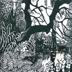 Willow trees, Botanic Gardens