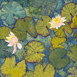 Jill's Water Lillies