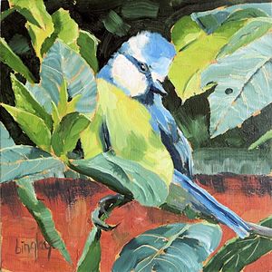 Manic Blue Tit