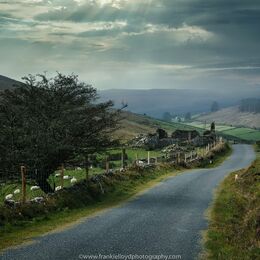 Melleray-backroad
