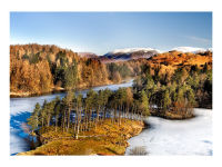 Tarn Hows In Winter